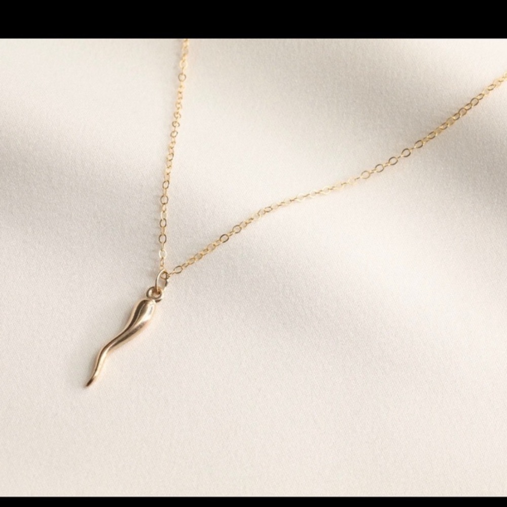 14k Italian Horn Protection Necklace